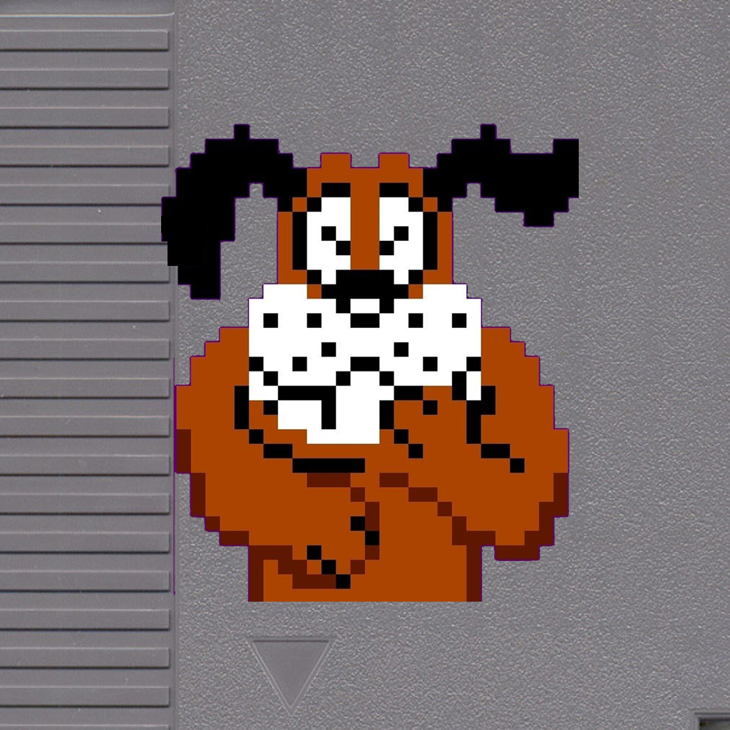 Duck Hunt